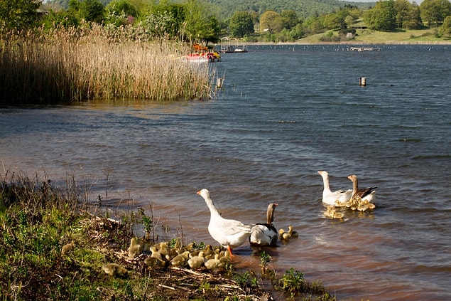 Bozulmamış, doğal flora ve faunasıyla cennetten bir köşe...