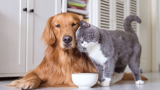 HAÇİKO Başkanı Gedik: 'Mamada KDV İndirimi Sözünü Aldık'