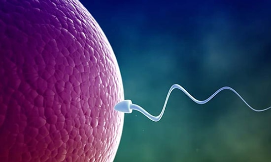 Geç Döllenme Nedir, Neden Olur?