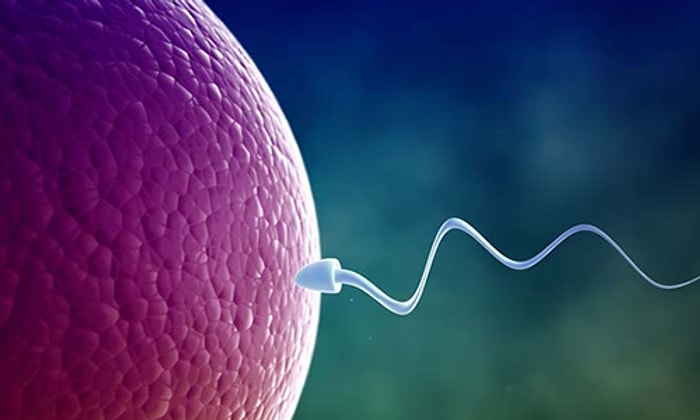 Geç Döllenme Nedir, Neden Olur?