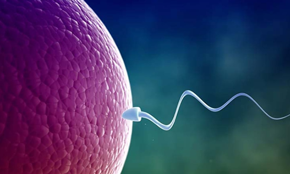 Geç Döllenme Nedir, Neden Olur?