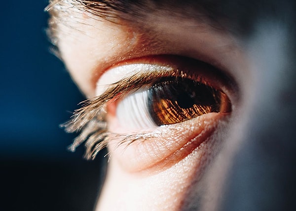 1. Настоящие заговоры прямо перед нашими глазами. Степень корпоративного контроля над демократическим процессом не является секретом, но мы все слишком заняты обсуждением высадки на Луну, плоской Земли и противников вакцины.