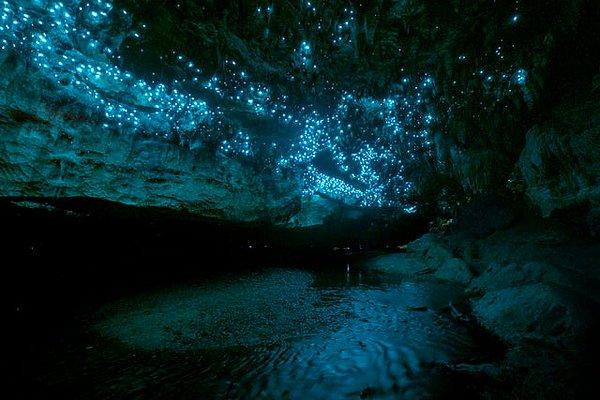 3. Yeni Zelanda'da yalnızca yıldız kurdu tarafından aydınlatılan bir mağara.