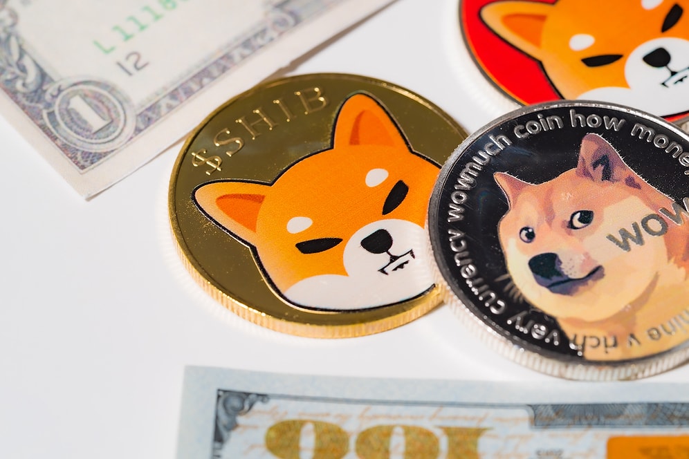 Meme Coin Nedir? Shiba Inu ve HUH Token Meme Coinlere Bakış