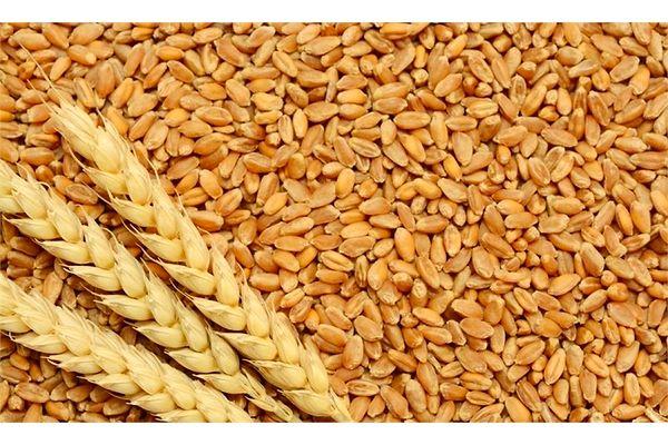 Buğday, arpa, bulgur gibi tarım ürünlerinin ticaretini yapan esnafa ne ad verilir?