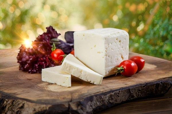 Peyniriyle ünlü Ezine hangi ilimizin bir ilçesidir?