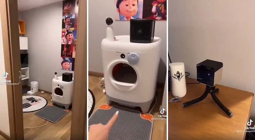 Kedisinin Odasını Paylaşan Kadının Sizi Bir Miktar Üzecek TikTok Videosu