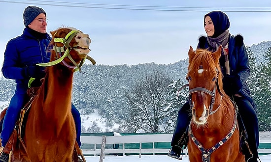 Babacan'dan 'Atlı' Paylaşım: 'Benzin Fiyatlarını Görünce Biz'