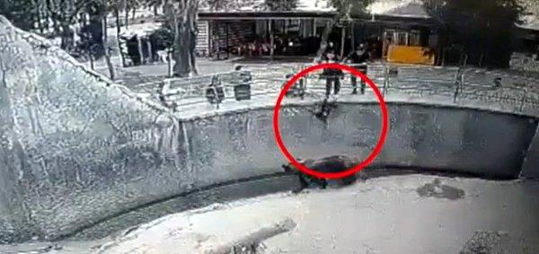 Güvenlik kameraları tarafından kaydedilen görüntülerde 3 yaşındaki kızını tırabzanların üzerinden geçiren anne saniyeler sonra kızının ellerini bırakarak ayının bulunduğu alana itiyor.