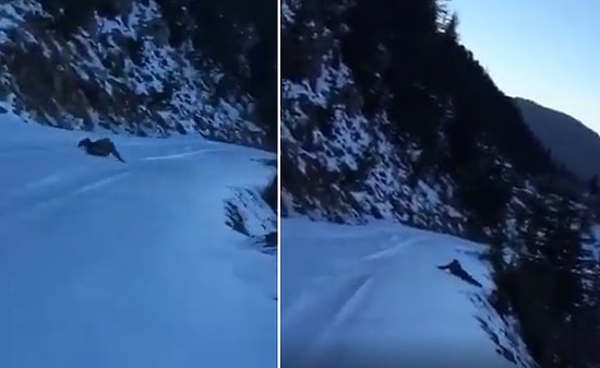Karlı Yolda Kayıp Uçuruma Doğru İlerleyen Adamı, Arkadaşları Kurtarmak Yerine Kahkaha Attı