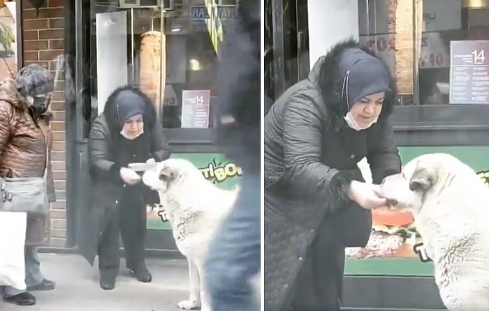 Elindeki Yemek Sıcak Diye Üfleyerek Sokak Köpeğine Elleriyle Yediren Güzel İnsan