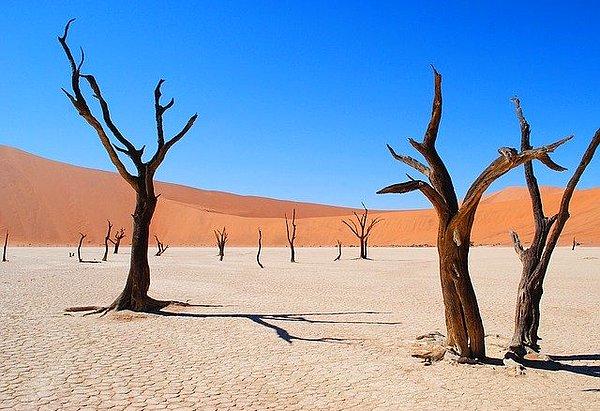 5. Ölü Vadi - Sossusvlei, Namibya (Dead Vlei - Sossusvlei, Namibia)