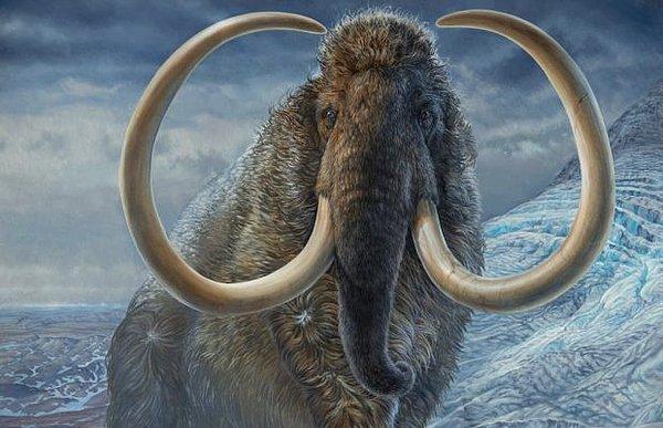 Tüylü mamutları geri getirmeyi hedefleyen bilim insanları, bir 'Kuzey Kutbu fili' yaratma planlarının detaylarını açıkladı.