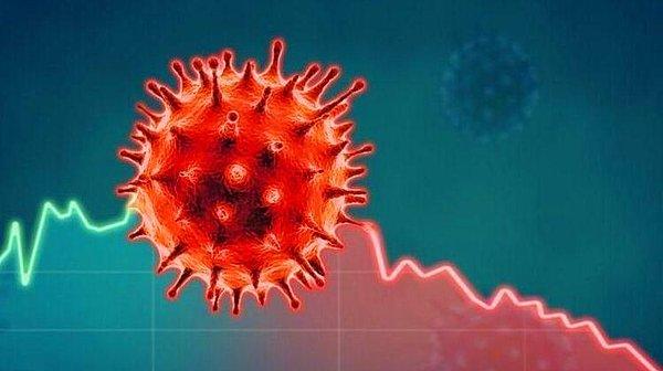 1 Şubat Koronavirüs Tablosu Açıklandı! Vefat ve Vaka Sayısı Kaç Oldu?