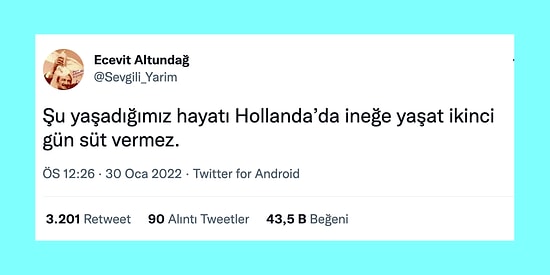 Alnı Olsa da Öpsem Dedirten Haftanın Aşırı Haklı 15 Tweeti