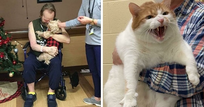 15 самых милых и трогательных фото с животными, которых спасли в этом месяце и приютили в их новый дом (Подборка за Январь)