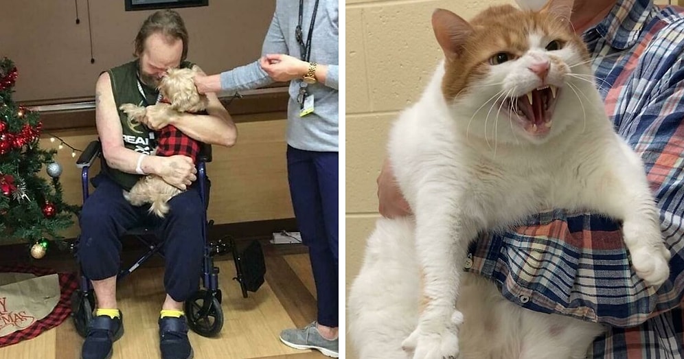 15 самых милых и трогательных фото с животными, которых спасли в этом месяце и приютили в их новый дом (Подборка за Январь)