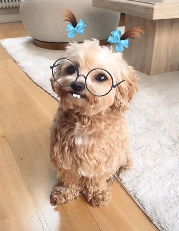 4. Фото с фильтрами