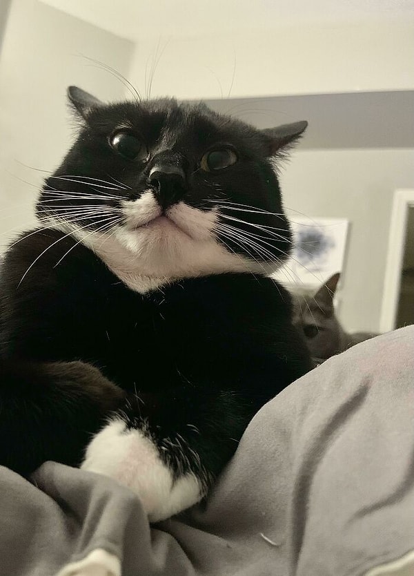 10. Она позади меня, не так ли?