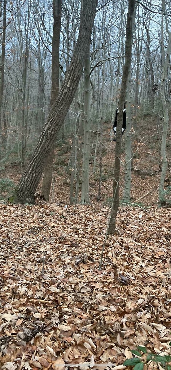 16. Он думает, что его не видно