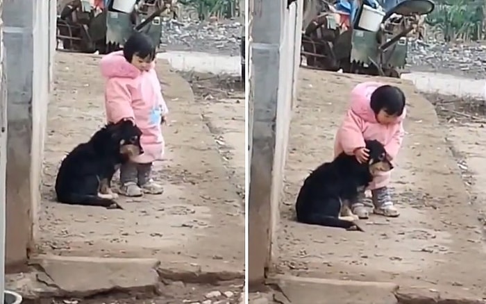 Havai Fişek Patlatıldığı Sırada Sesten Korkmaması İçin Köpeğin Kulaklarını Kapatan Ufaklık