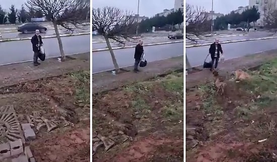 Sokak Köpeklerini Besleyen Kadına Tepki Gösteren Adam: Bir Tek Diş Geçirseler Sabah Hepsinin Leşini Bırakırım