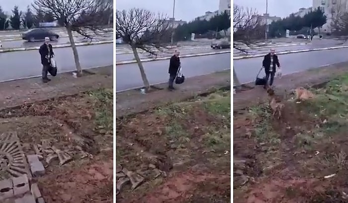 Sokak Köpeklerini Besleyen Kadına Tepki Gösteren Adam: Bir Tek Diş Geçirseler Sabah Hepsinin Leşini Bırakırım