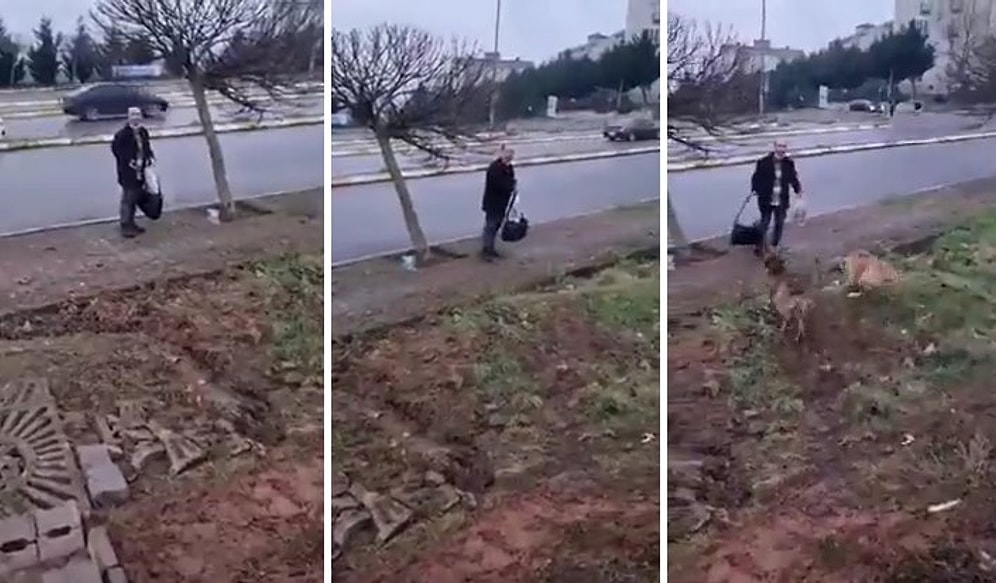 Sokak Köpeklerini Besleyen Kadına Tepki Gösteren Adam: Bir Tek Diş Geçirseler Sabah Hepsinin Leşini Bırakırım