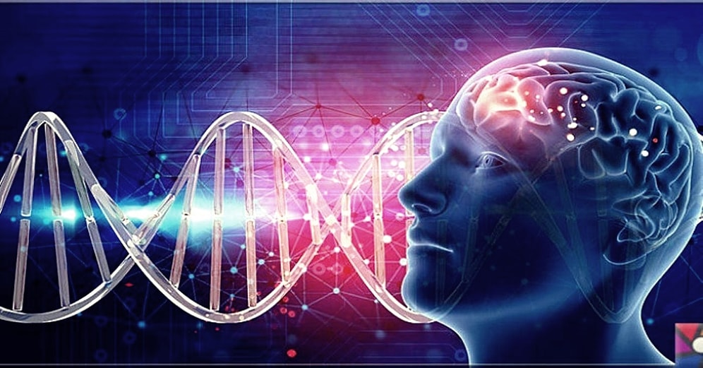 Timur Yılmaz Yazio: Kendindeki Dopaminin Farkında mısın?