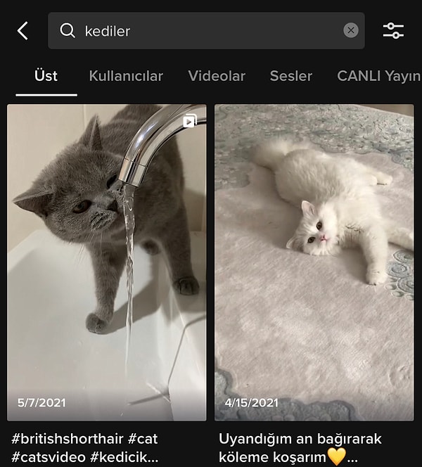 Arama çubuğuna tıklayarak bulmak istediğiniz videodaki anahtar kelimeleri yazın ve Ara'ya basın. Örneğin: Kediler.