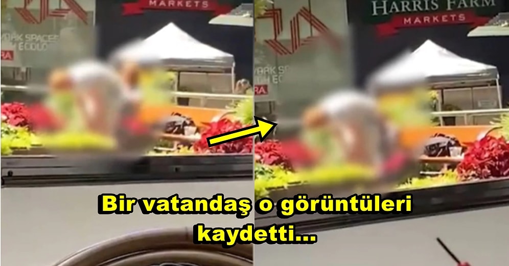 Etrafta Çocukların Olduğuna Dair Gelen Uyarıları Dinlemeden Sokak Ortasında Cinsel İlişkiye Giren Çift!