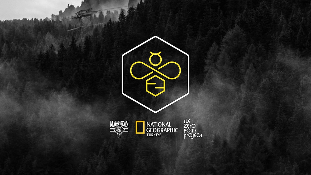 Beeing Hope Projesi Türkiye’nin ilk NFT Multidisipliner Sanat Koleksiyonu İle “Arılara Umut Ol”uyor!