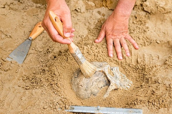 Uzmanlar, İsrail'de bulunan kalıntılar ile Gürcistan'ın Dmanisi arkeolojik alanında bulunan diğer erken kalıntılar arasında 'paleobiyolojik farklılıklar' olduğunu belirtti.