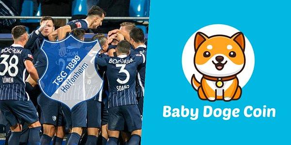 Baby Doge de Alman kulüp TSG 1899 Hoffenheim ile anlaşmaya varmıştı.