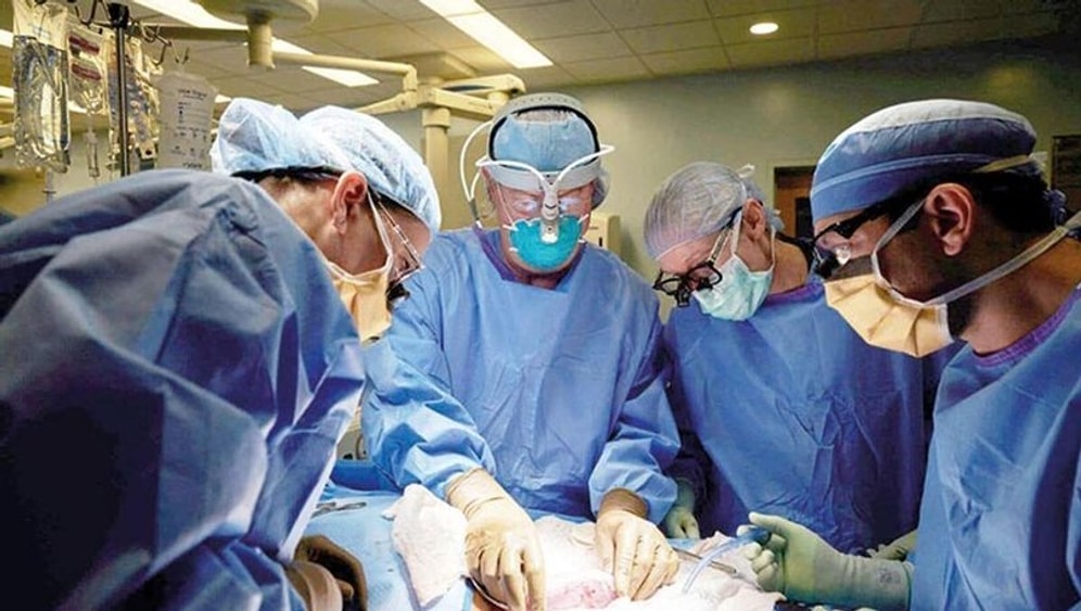 Organ Nakli Çalışmalarında Yeni Dönem: Ölen İki Kişiye Genetiği Değiştirilmiş Domuz Kalbi Nakledildi