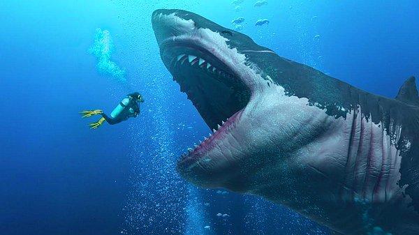 6. Dünya okyanuslarının en büyük köpekbalıklarından biri olan Megalodon, şimdiye kadar hep büyük beyaz köpekbalığı gibi tasvir ediliyordu. Bilim insanları fosil dişler ve bazı kemiklerden aldıkları örneklerle 3.6 milyon önce yaşamış olan canlıyı tahmin ediyordu. Peki gerçekten Hollywood'un popüler kahramanı megalodon neye benziyordu?