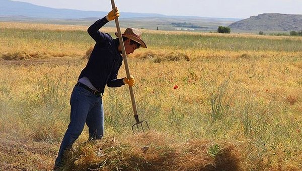 2022 Mazot ve Gübre Desteği Ne Kadar?