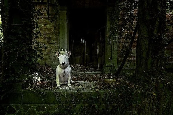 9. Королева дня, великолепна навсегда