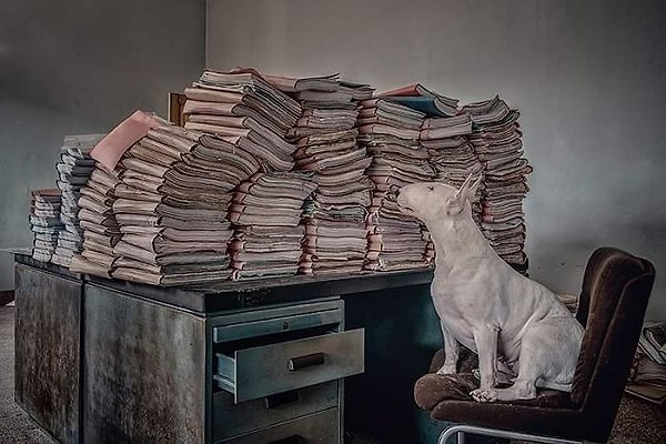 12. Сегодня будет один из тех дней, когда даже моему кофе нужен кофе