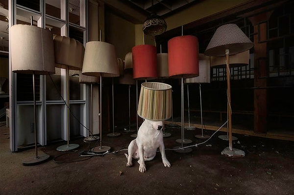 15. Я светильник