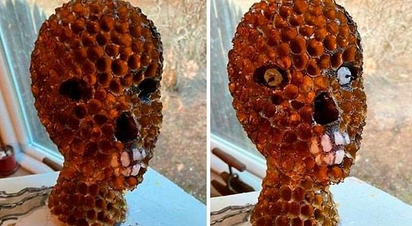 3. Моя дочь сделала это в школе, и да, оно живет в моем доме