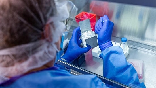 DSÖ'den Yeni Varyant Uyarısı: Daha Bulaşıcı ve Daha Yaygın Hale Gelecek