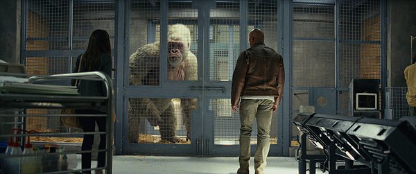 Rampage: Büyük Yıkım Filmi Oyuncuları Kimlerdir?