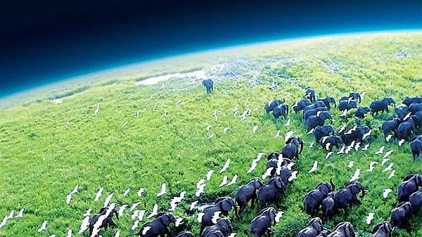 4. Planet Earth