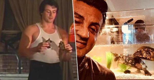 14. Sylvester Stallone, hala 'Rocky' filmindeki kaplumbağalara bakıyormuş.
