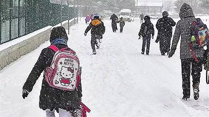 Son Dakika: Ağrı'da Okullar Tatil Edildi! Yoğun Kar Yağışı Nedeniyle...