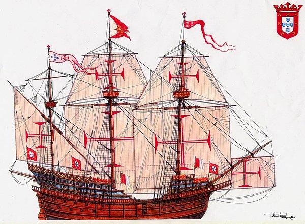 Vespucci 14 Mayıs 1501'de Portekiz bandıralı bir gemiyle en başarılı yolculuğunu gerçekleştirmek üzere Yeni Dünya'ya yelken açtı.