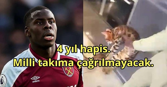 Kediye Eziyet Eden Kurt Zouma'ya Ceza Üstüne Ceza Yağıyor!