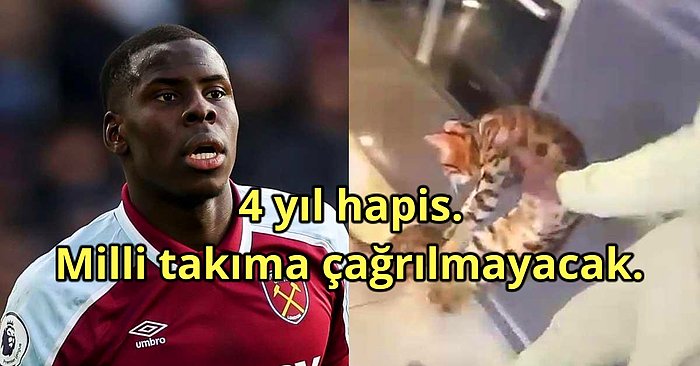 Kediye Eziyet Eden Kurt Zouma'ya Ceza Üstüne Ceza Yağıyor!