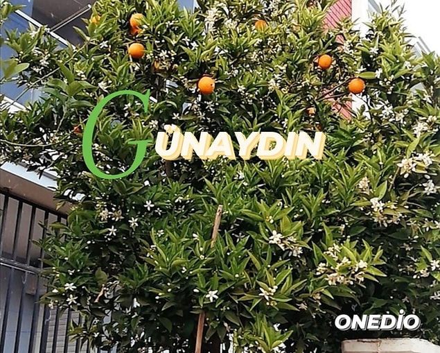 2021 Günaydın Mesajları